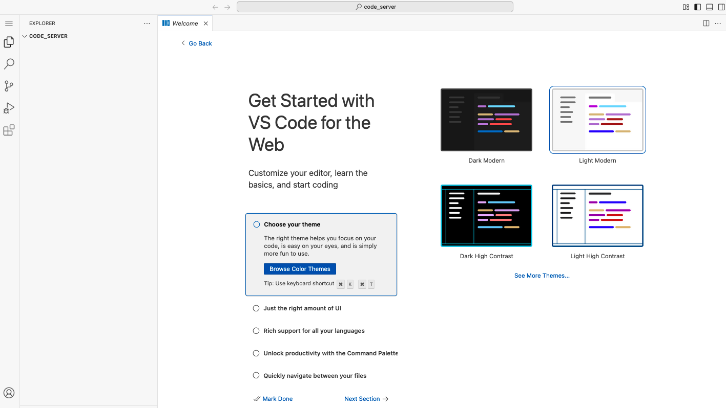 Code Server View