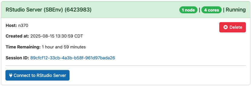 RStudio Server Connect