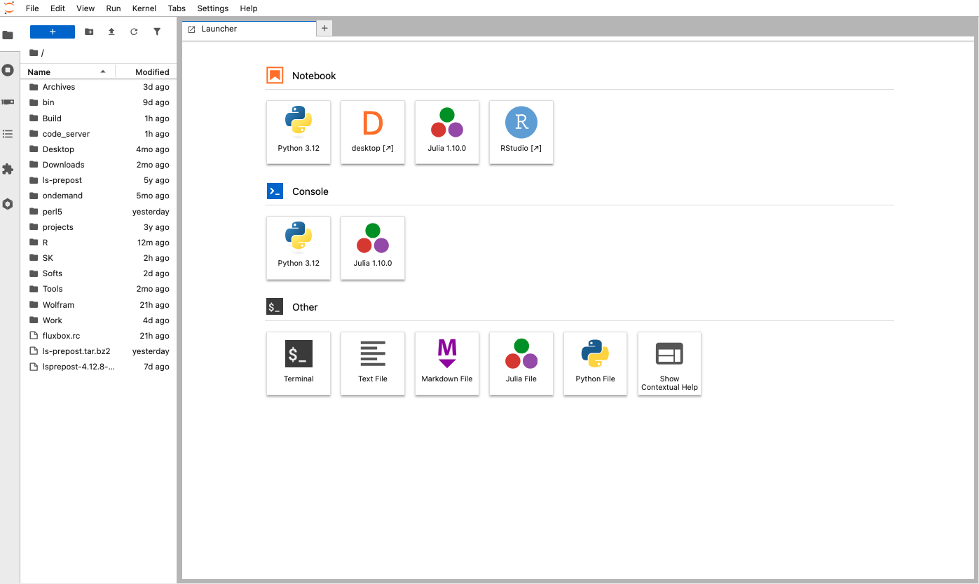 JupyterLab Server View