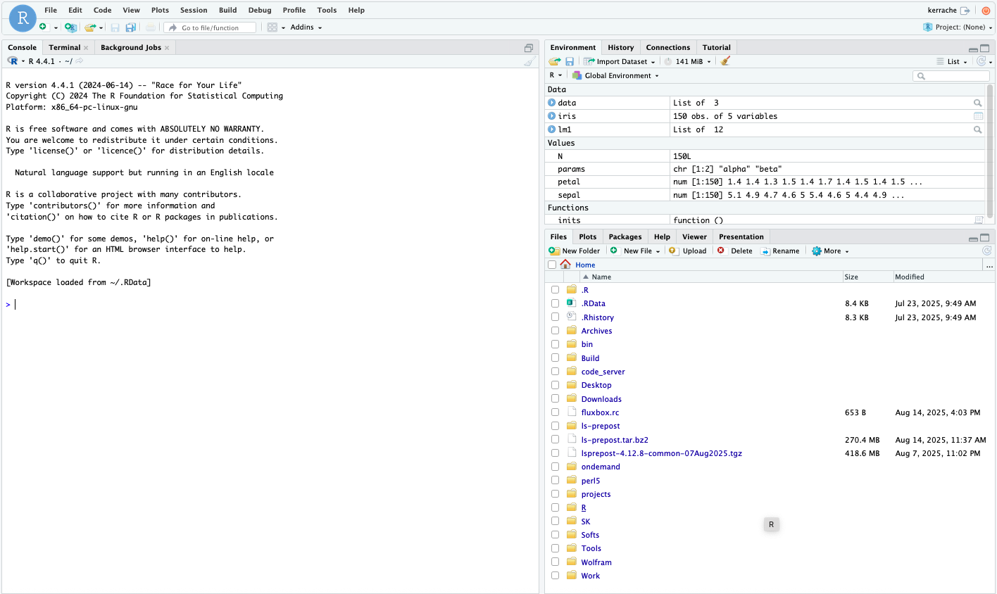 RStudio Server View
